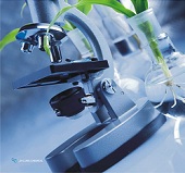 四川嘉龙化工有限公司